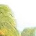 advfoods.com.br